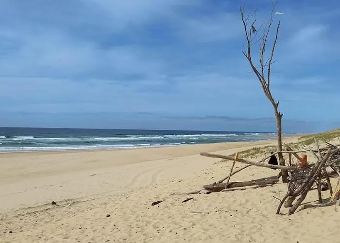 Semesterbostad Beautiful 67 M Duplex With Gardengolf View *