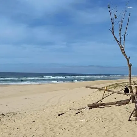 Semesterbostad Beautiful 67 M Duplex With Gardengolf View *