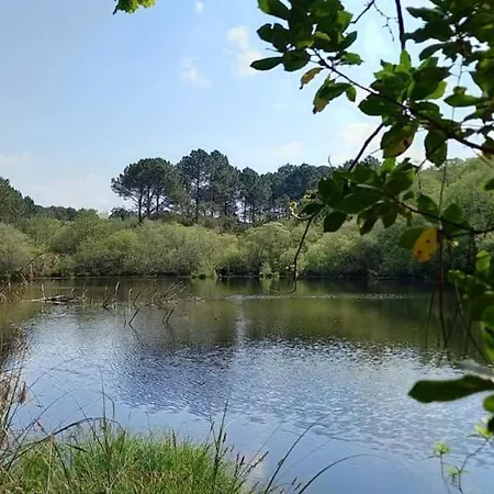 Semesterbostad Beautiful 67 M Duplex With Gardengolf View